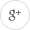 google icon